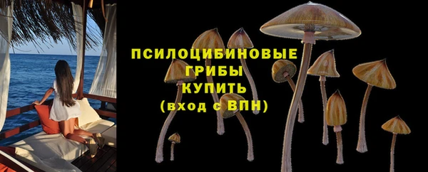 MESCALINE Алзамай