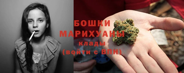 мдпв Горняк