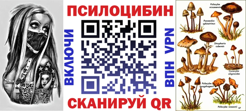 продажа наркотиков  Амурск  Галлюциногенные грибы Magic Shrooms 